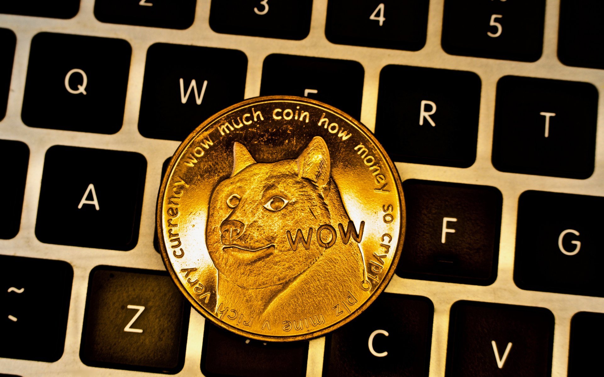 Such Currency, Much #Fail: Dogecoin Transactions 300% Higher Than Bitcoin Cash - Bitcoinist.com