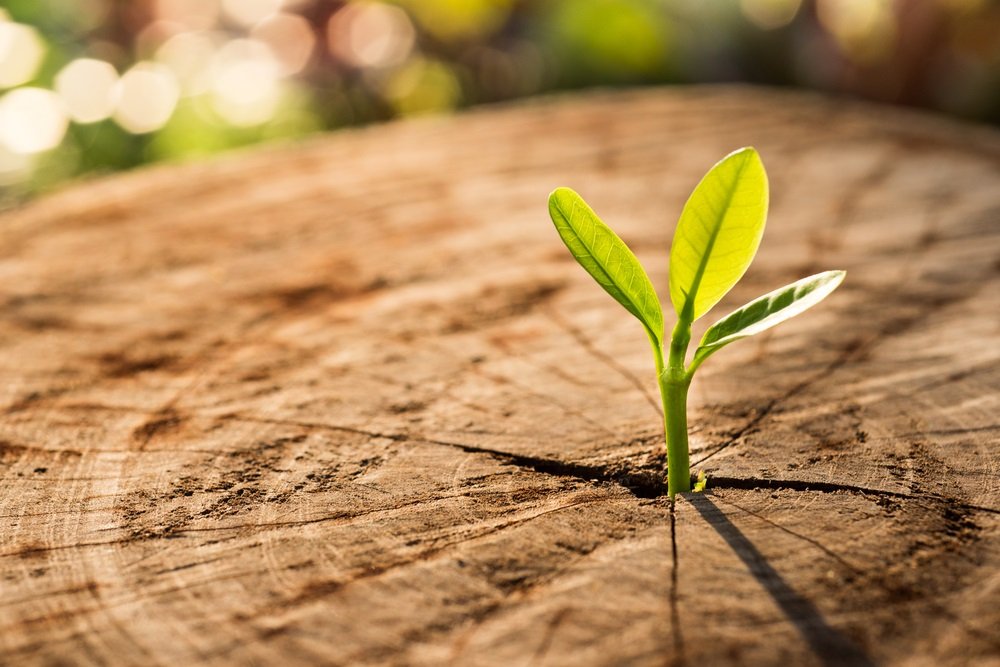 Ripple Adds PNC to Client List Continuing Growth as They Near xRapid Launch | NewsBTC